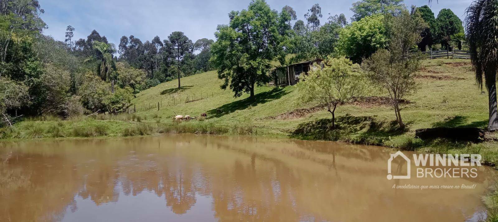 Chácara, 4 quartos, 1 hectares - Foto 1