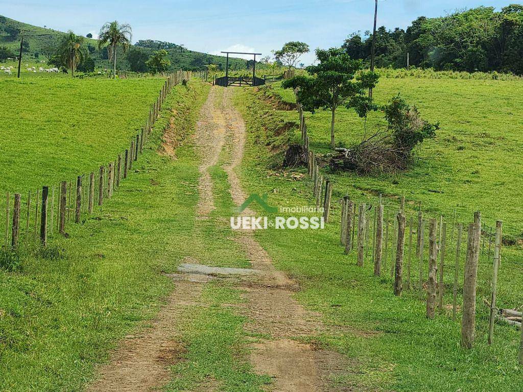 Fazenda-Sítio-Chácara, 387 hectares - Foto 3