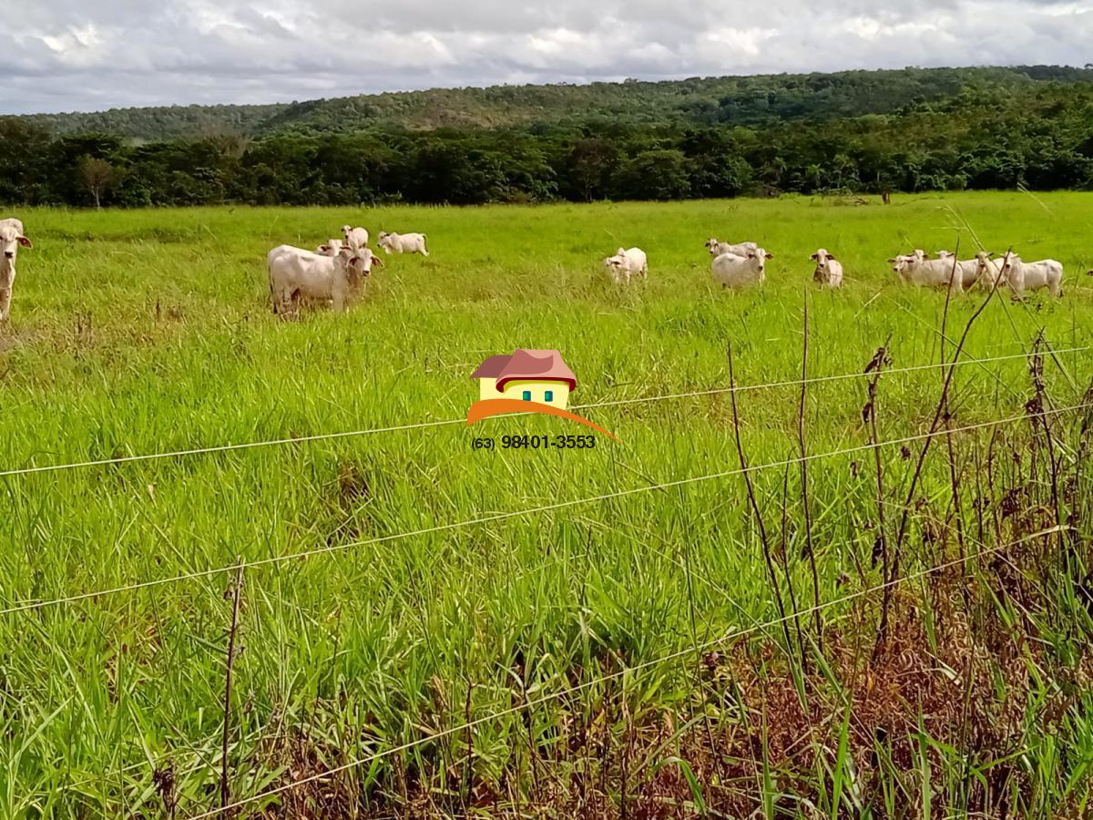 Fazenda à venda, 1994m² - Foto 12