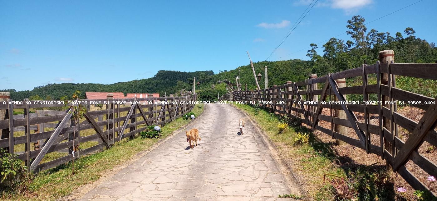 Chácara à venda com 2 quartos, 600000m² - Foto 46