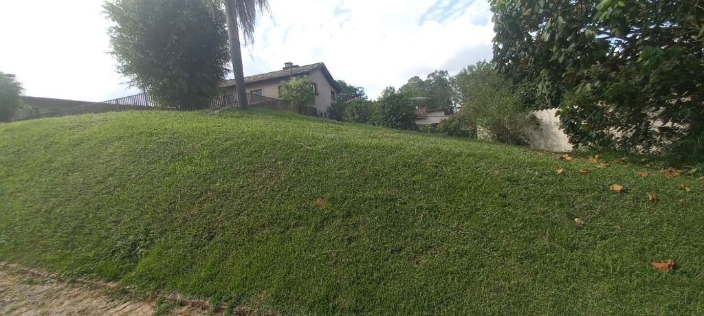 Terreno, 4 hectares - Foto 4