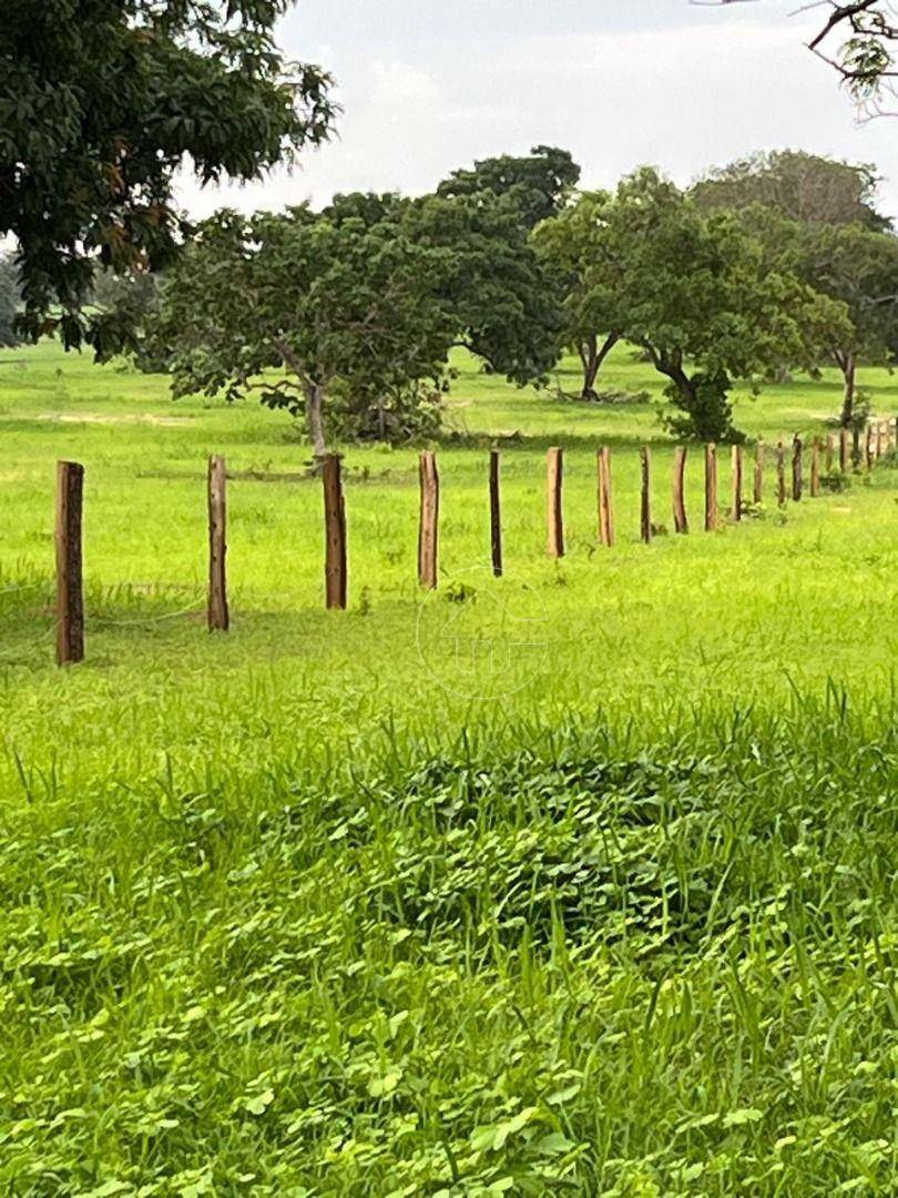 Fazenda à venda, 12000000M2 - Foto 5