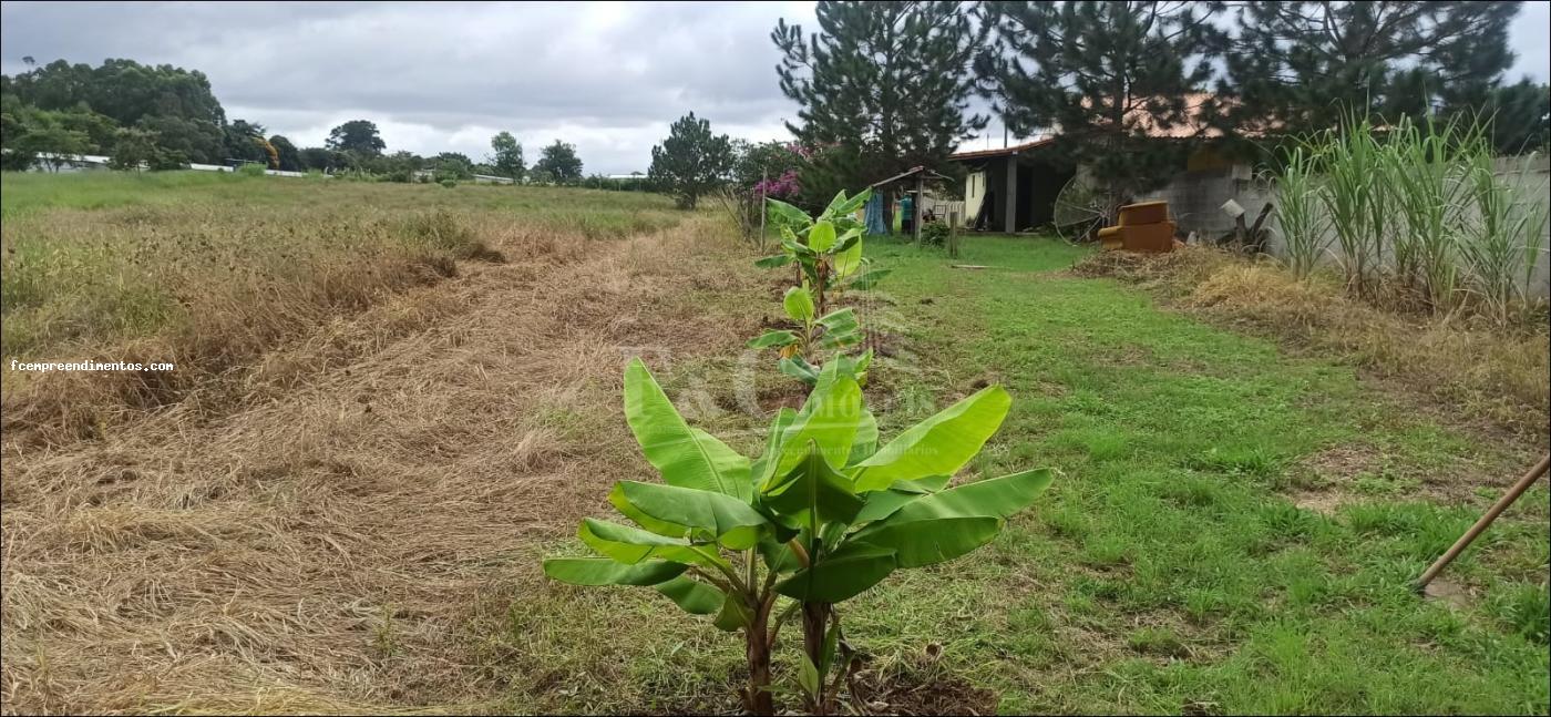 Terreno à venda, 64000m² - Foto 15