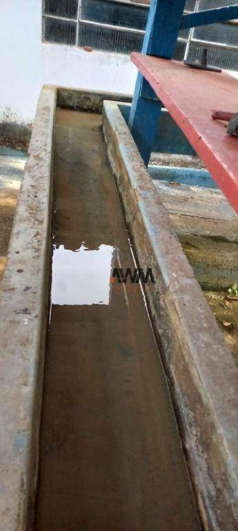 Fazenda-Sítio-Chácara, 213 hectares - Foto 6