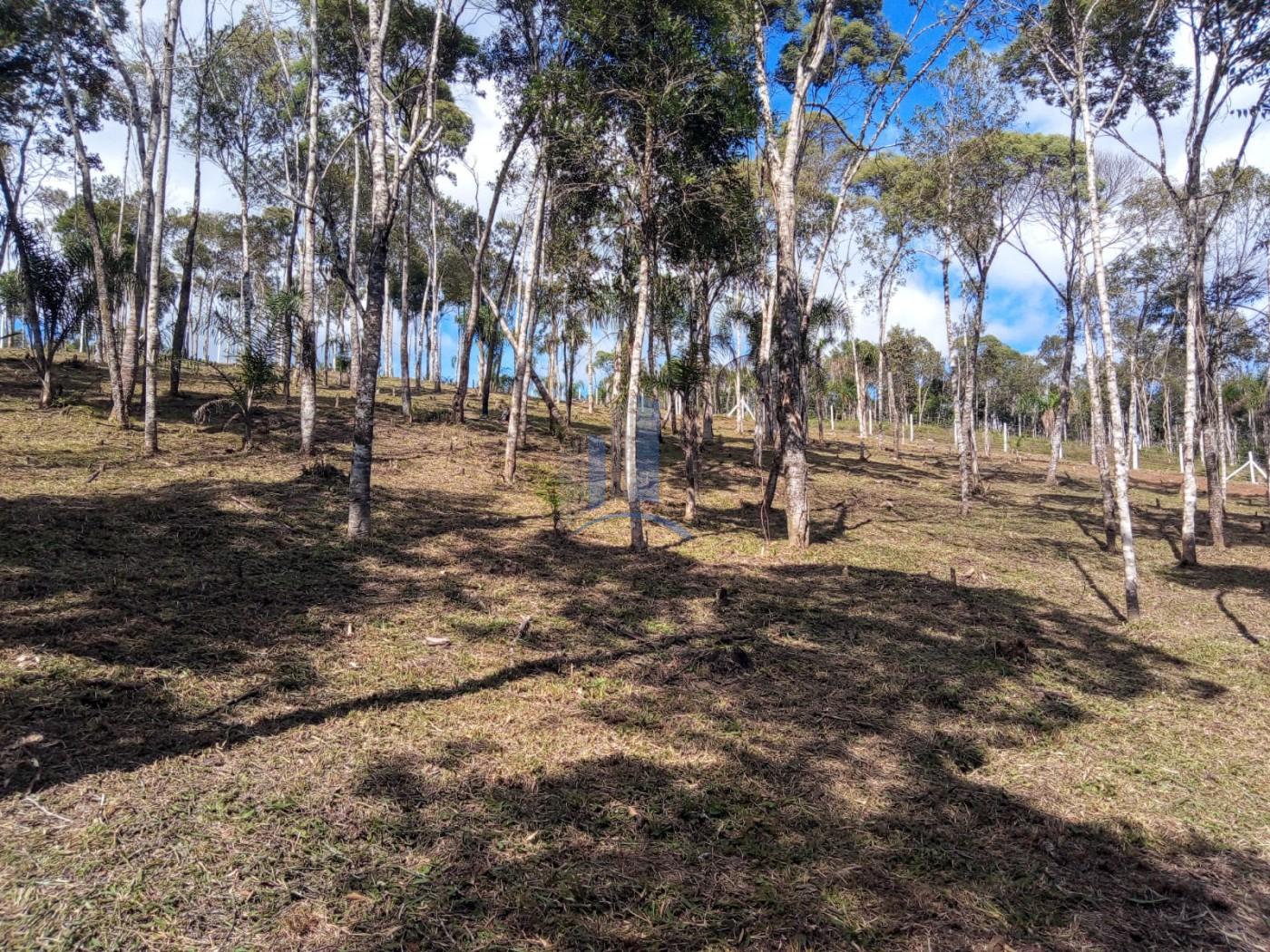 Chácara à venda, 5000m² - Foto 17