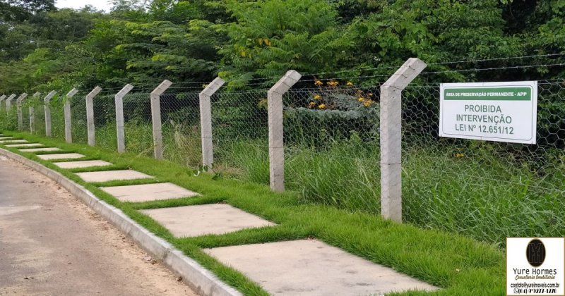 Terreno, 300 m² - Foto 6