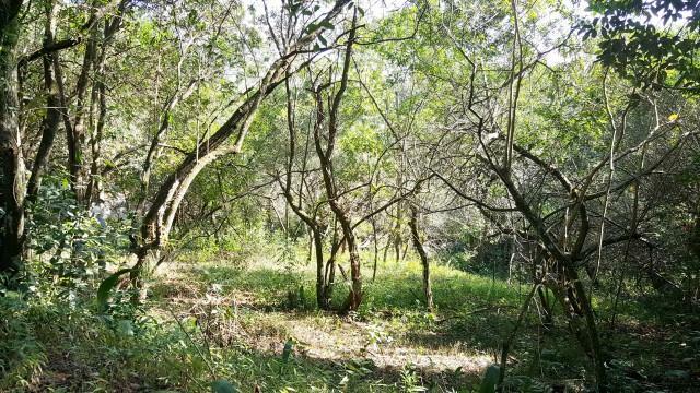 Loteamento e Condomínio à venda, 2845m² - Foto 9