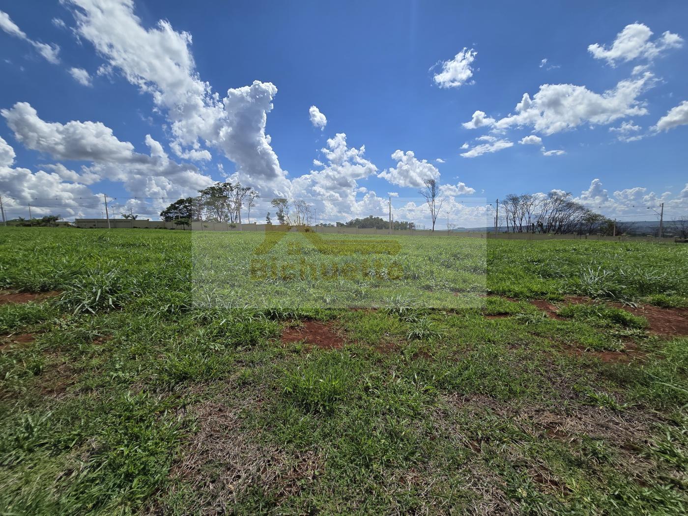 Terreno à venda, 320m² - Foto 3