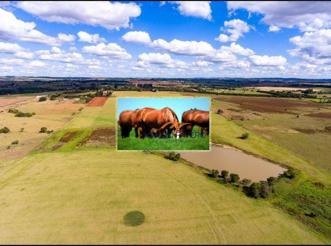 Haras e Área Rural Padrão à venda, 1517340M2 - Foto 3