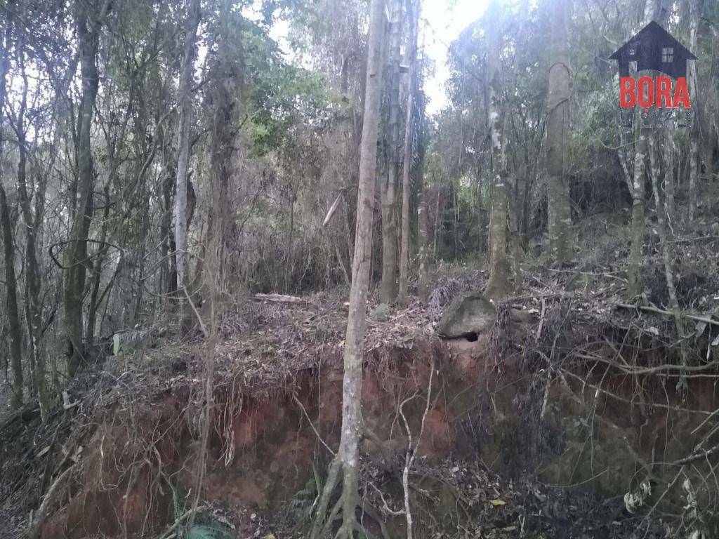 Terreno à venda, 2080M2 - Foto 4