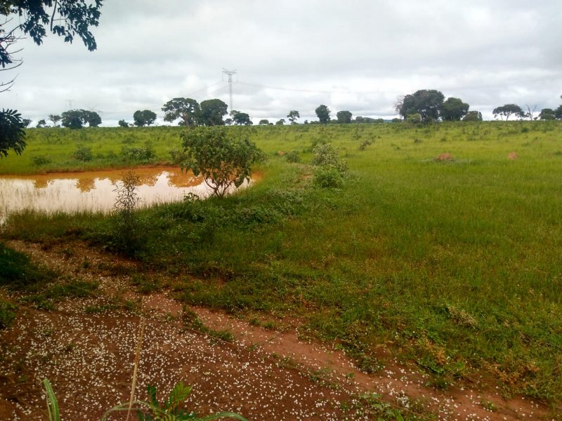 Fazenda à venda, 4007m² - Foto 7