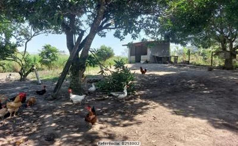 Fazenda à venda com 3 quartos, 10000m² - Foto 10