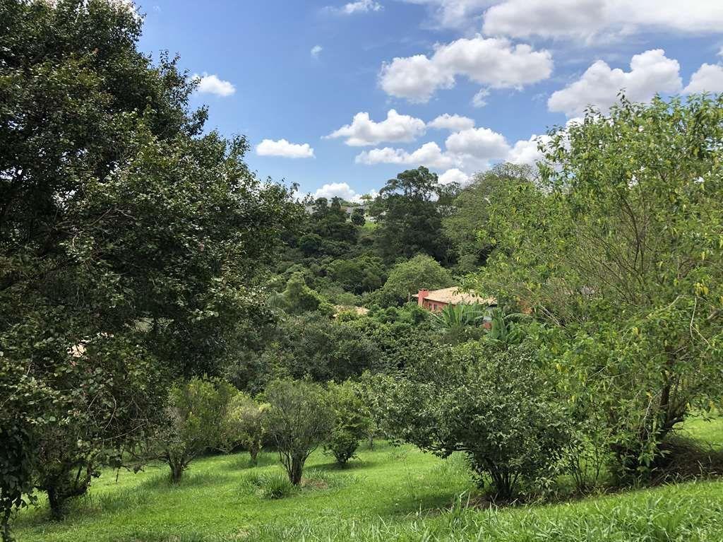 Terreno à venda, 1042m² - Foto 2