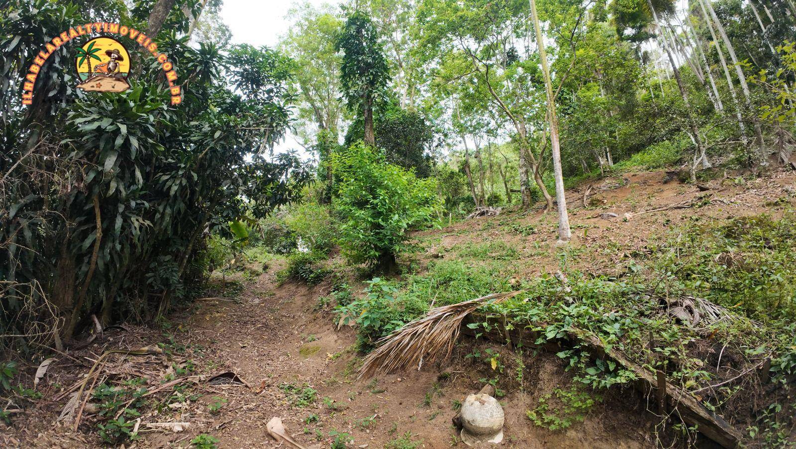 Terreno, 1 hectares - Foto 2