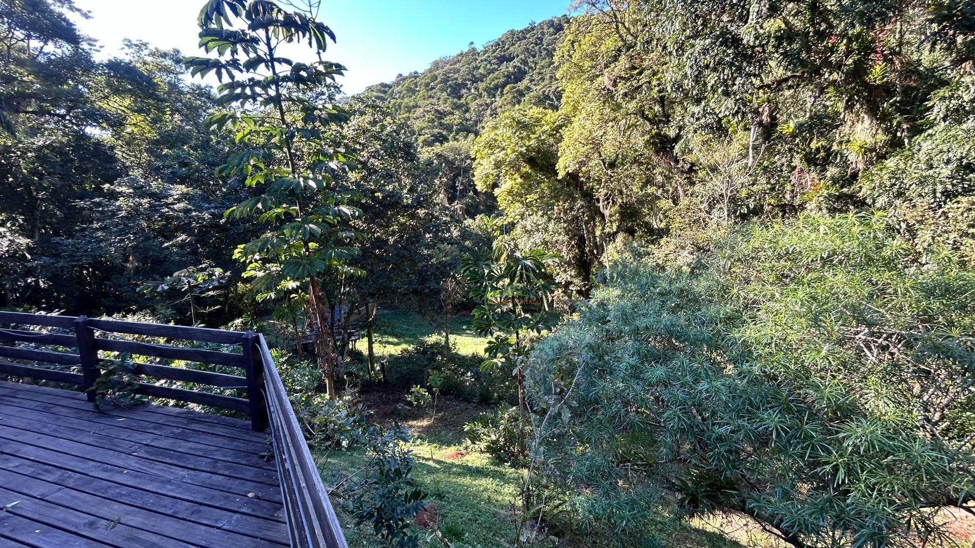 Sítio, 14 hectares - Foto 31