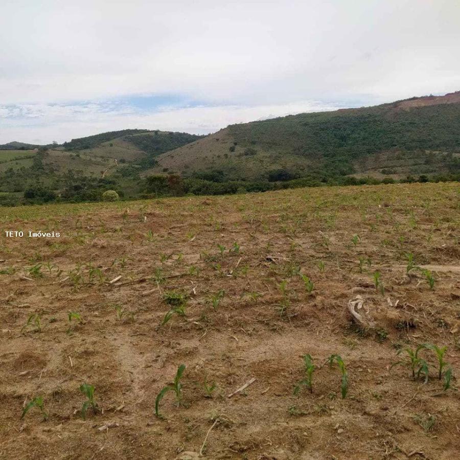 Fazenda à venda com 1 quarto, 40m² - Foto 9