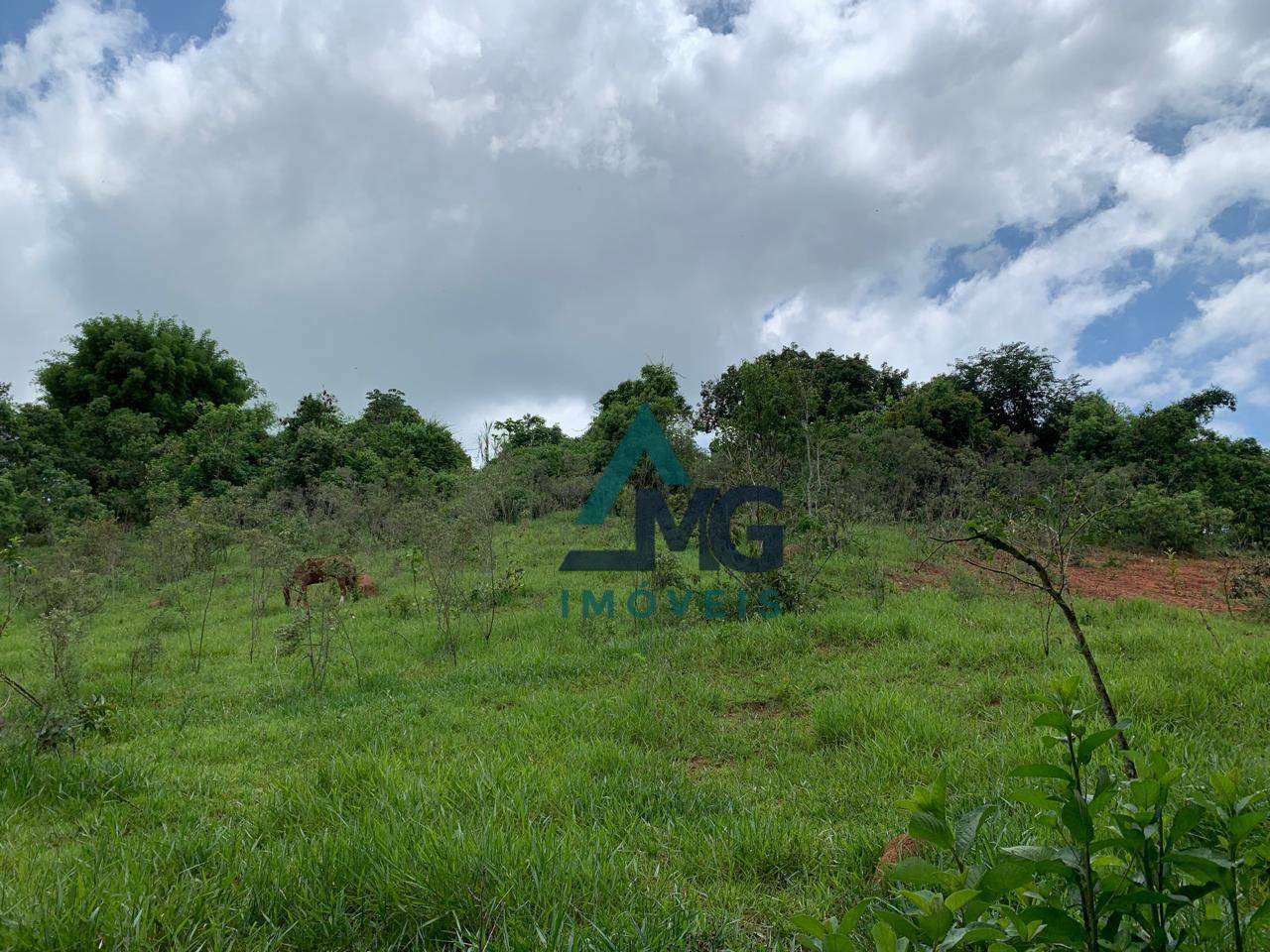 Terreno à venda, 11200M2 - Foto 6