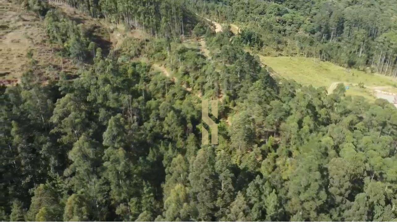 Terreno à venda, 146000M2 - Foto 2