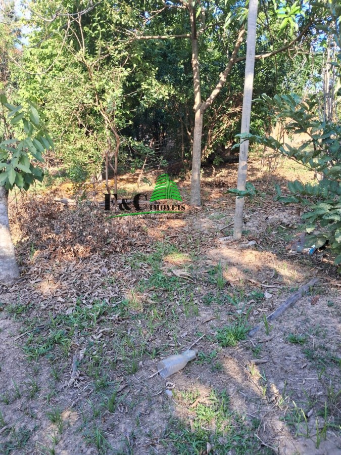 Chácara à venda com 2 quartos, 8000m² - Foto 16