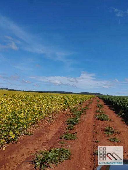 Fazenda à venda com 5 quartos, 500m² - Foto 2