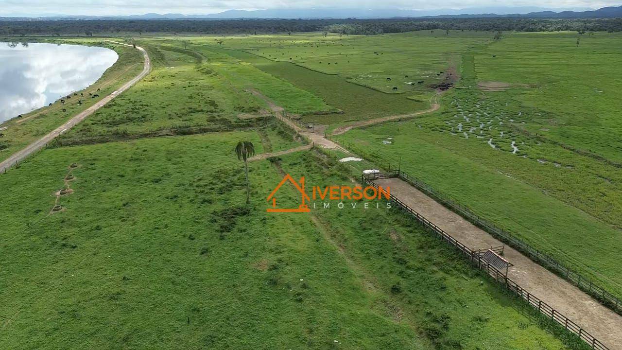 Fazenda à venda com 2 quartos, 300m² - Foto 20