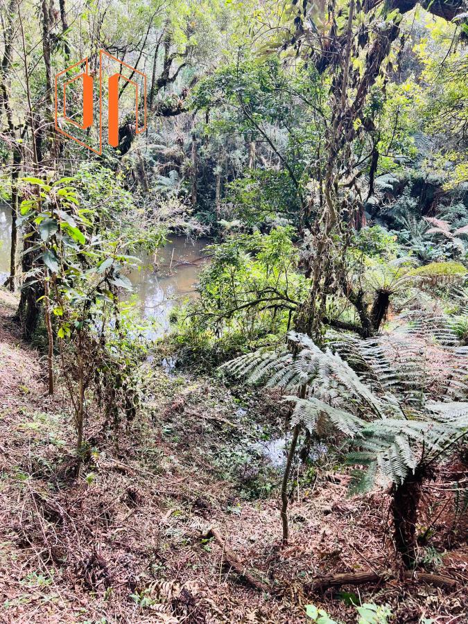 Fazenda à venda, 10000m² - Foto 13