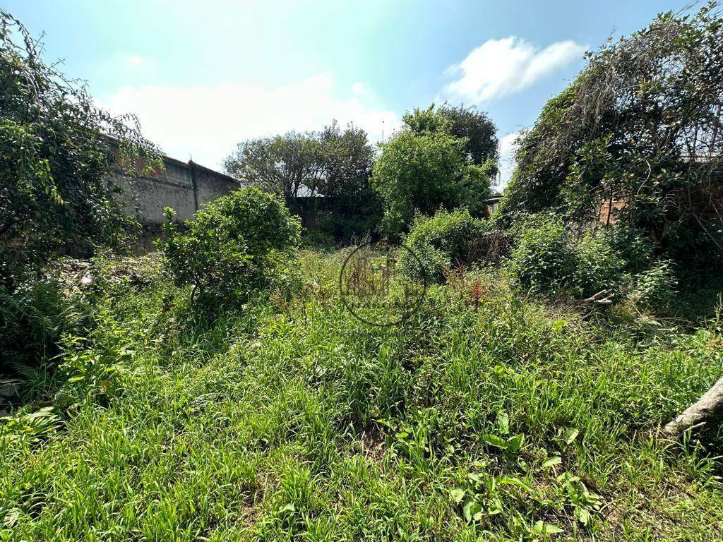 Terreno à venda, 750M2 - Foto 12