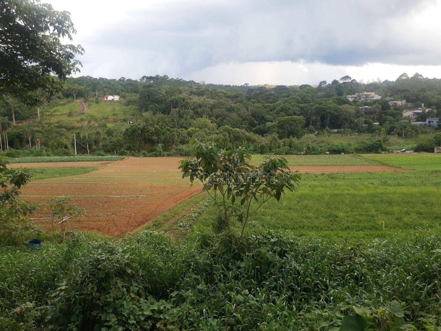 Terreno à venda, 86000M2 - Foto 17