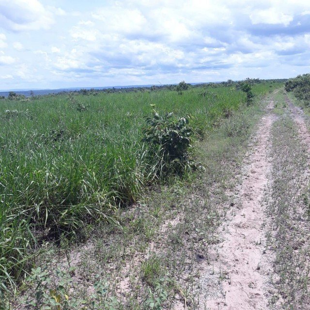 Fazenda à venda, 310000m² - Foto 14