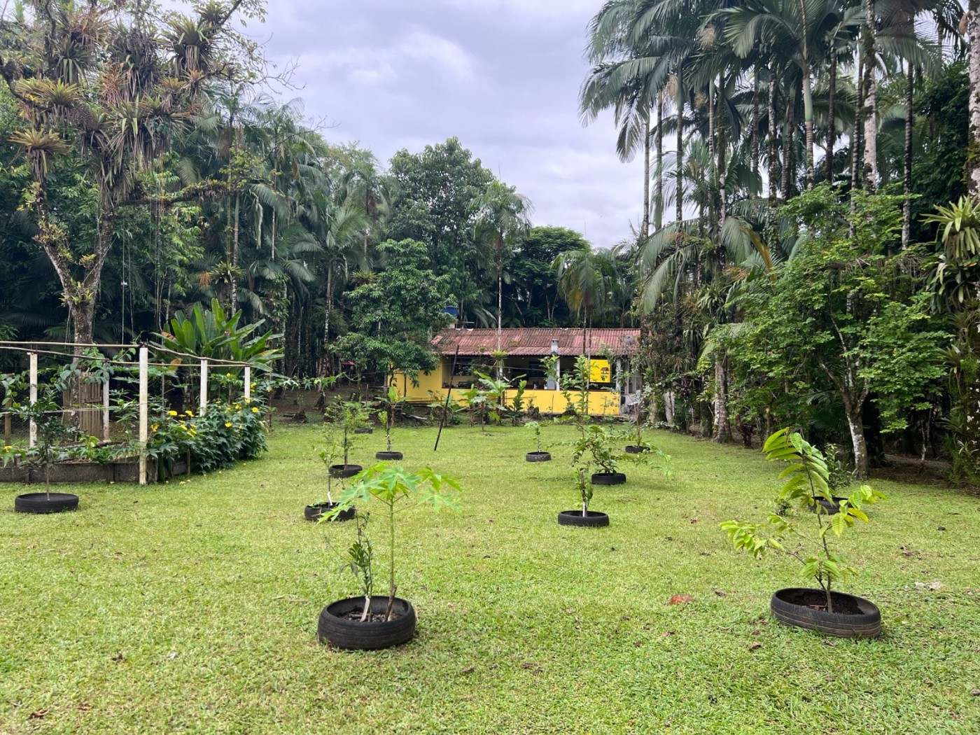 Chácara à venda, 22000m² - Foto 5