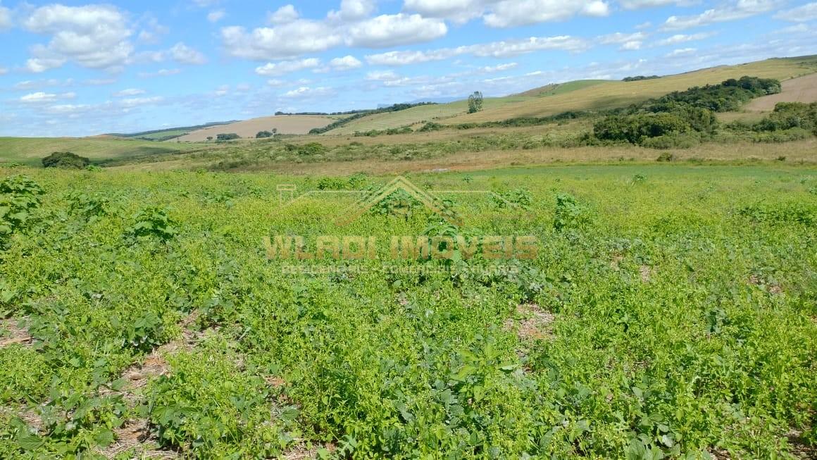 Fazenda à venda, 160m² - Foto 4