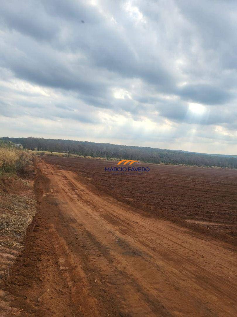 Fazenda, 121 hectares - Foto 2