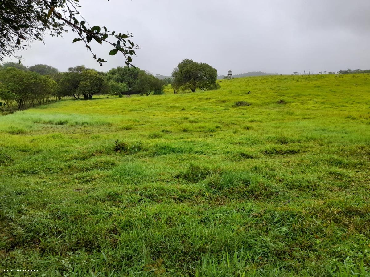 Fazenda à venda com 2 quartos, 61000m² - Foto 14