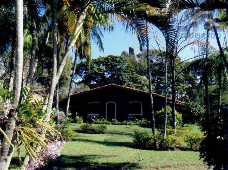 Sítio, 4 hectares - Foto 34