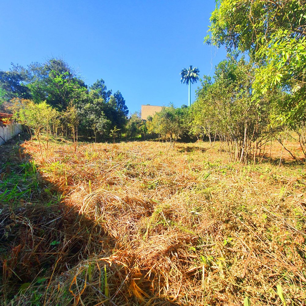 Terreno à venda, 1290m² - Foto 10