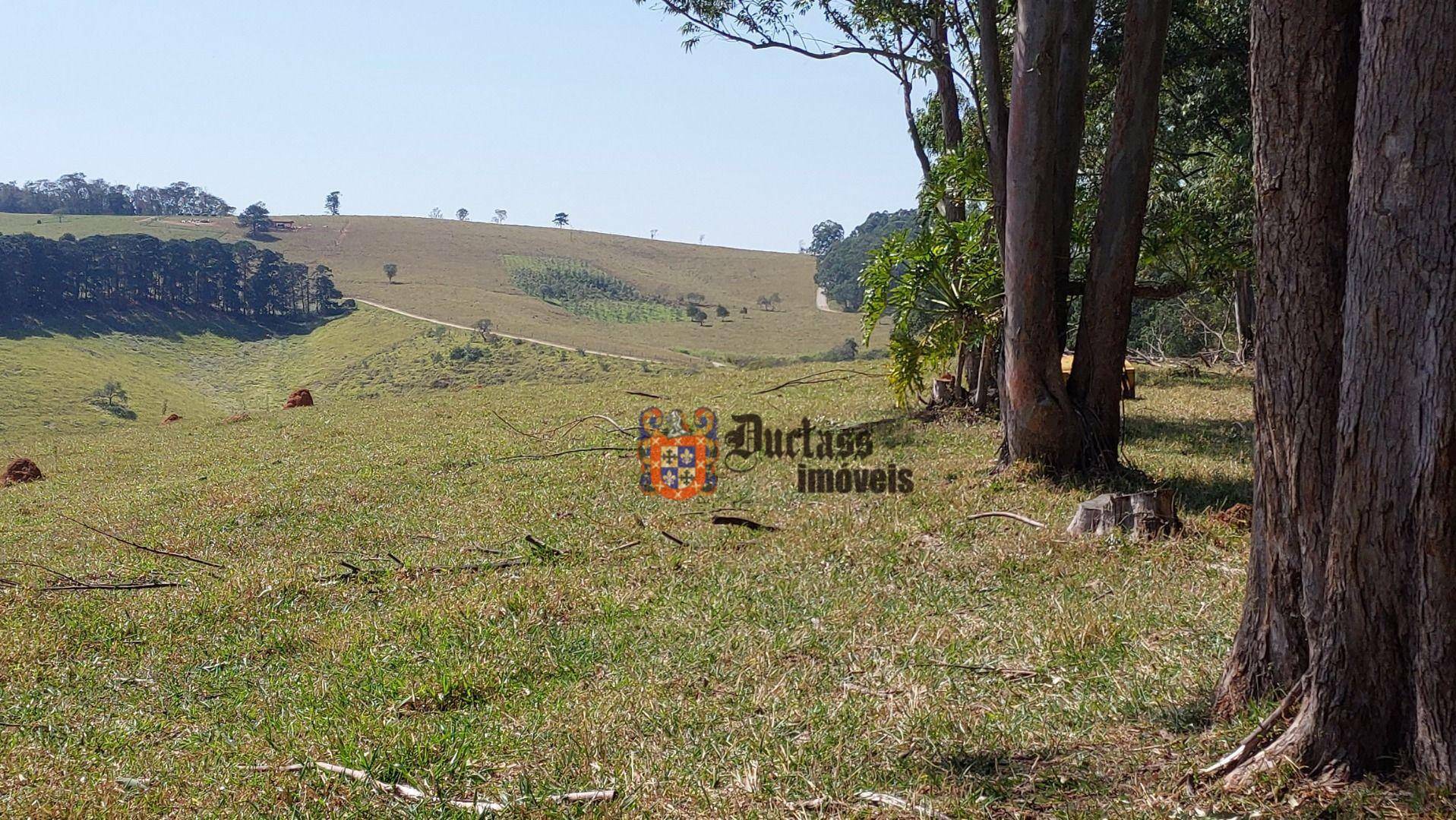 Fazenda à venda com 6 quartos, 500m² - Foto 129