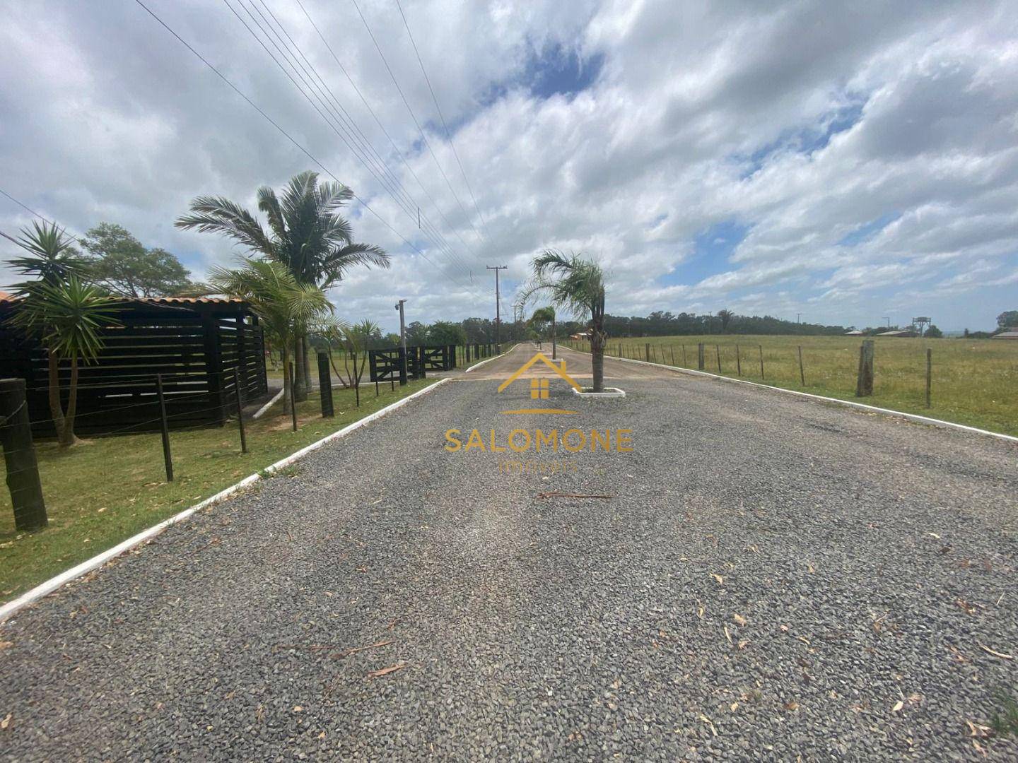 Sítio, 4 hectares - Foto 7