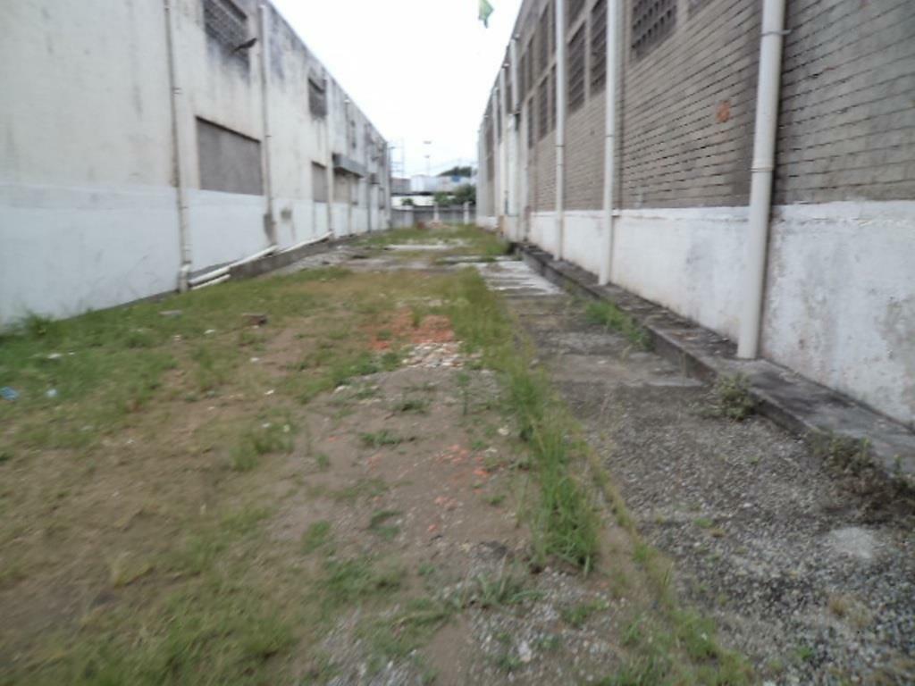 Terreno para alugar, 3500M2 - Foto 1