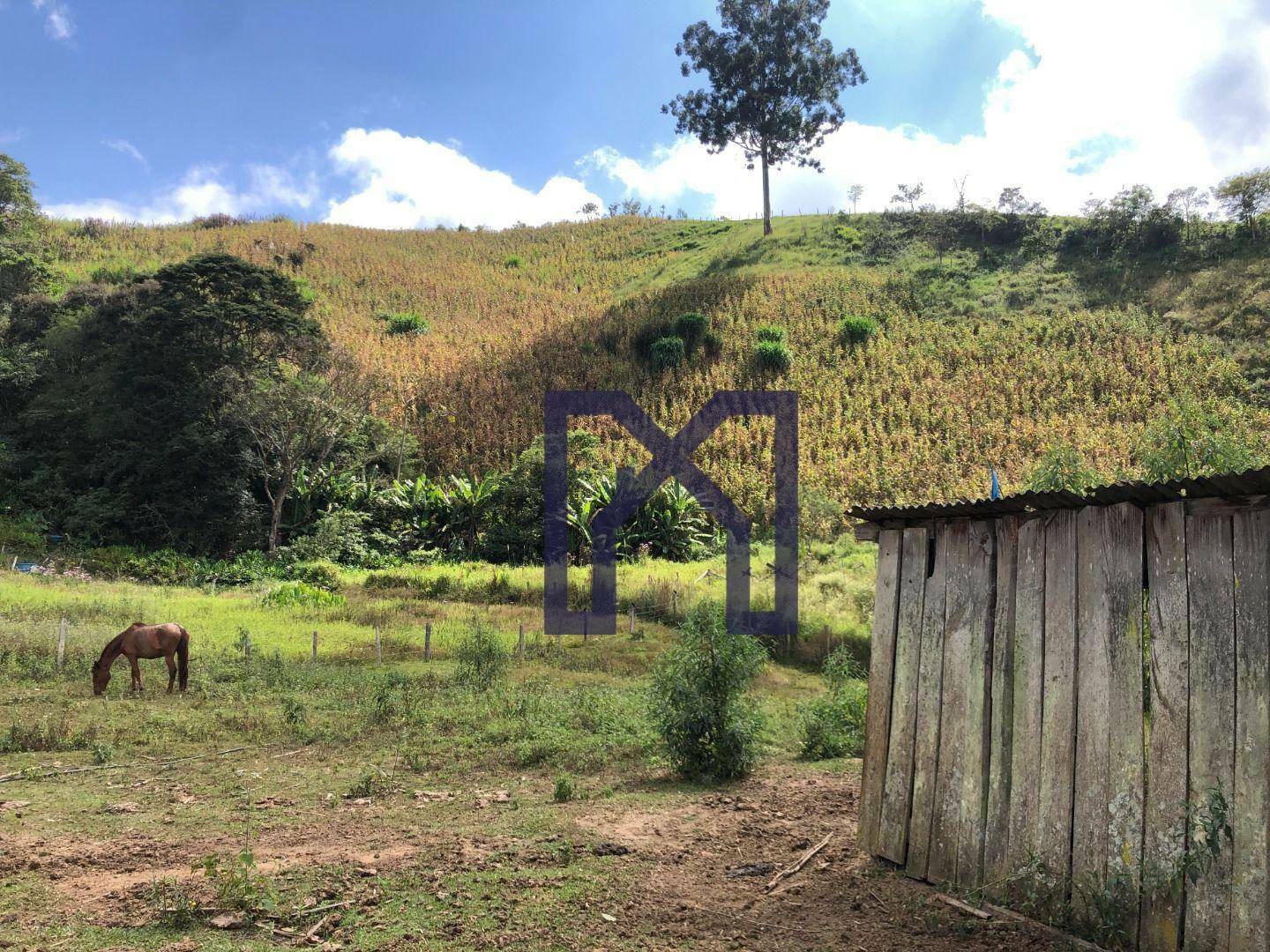 Sítio à venda com 5 quartos, 60500M2 - Foto 34