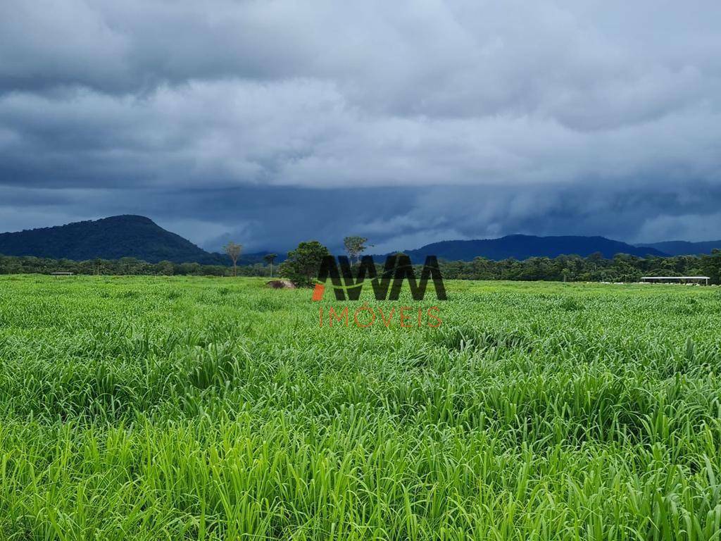 Fazenda à venda, 19360000M2 - Foto 13