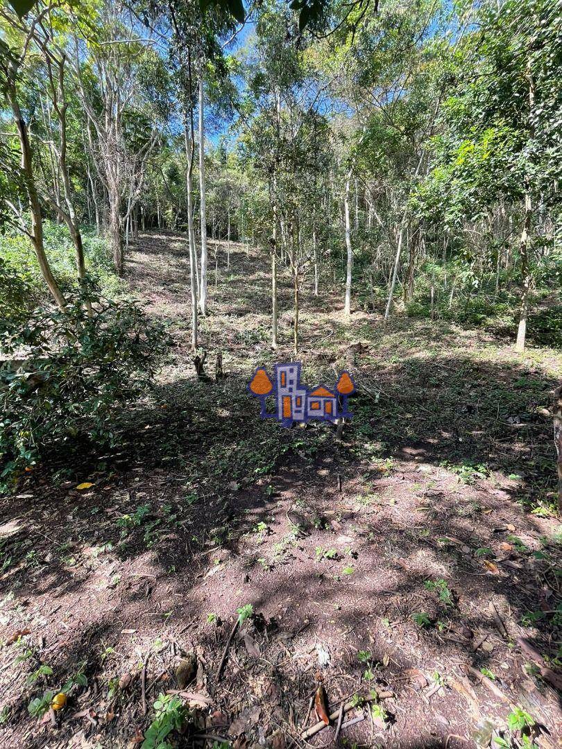 Terreno à venda, 1533M2 - Foto 4