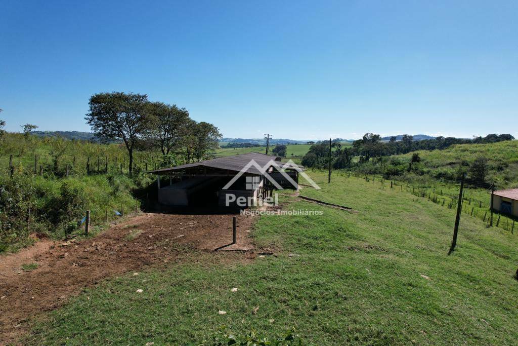 Fazenda à venda, 500m² - Foto 5