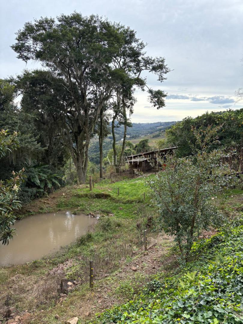 Chácara à venda, 23000m² - Foto 31
