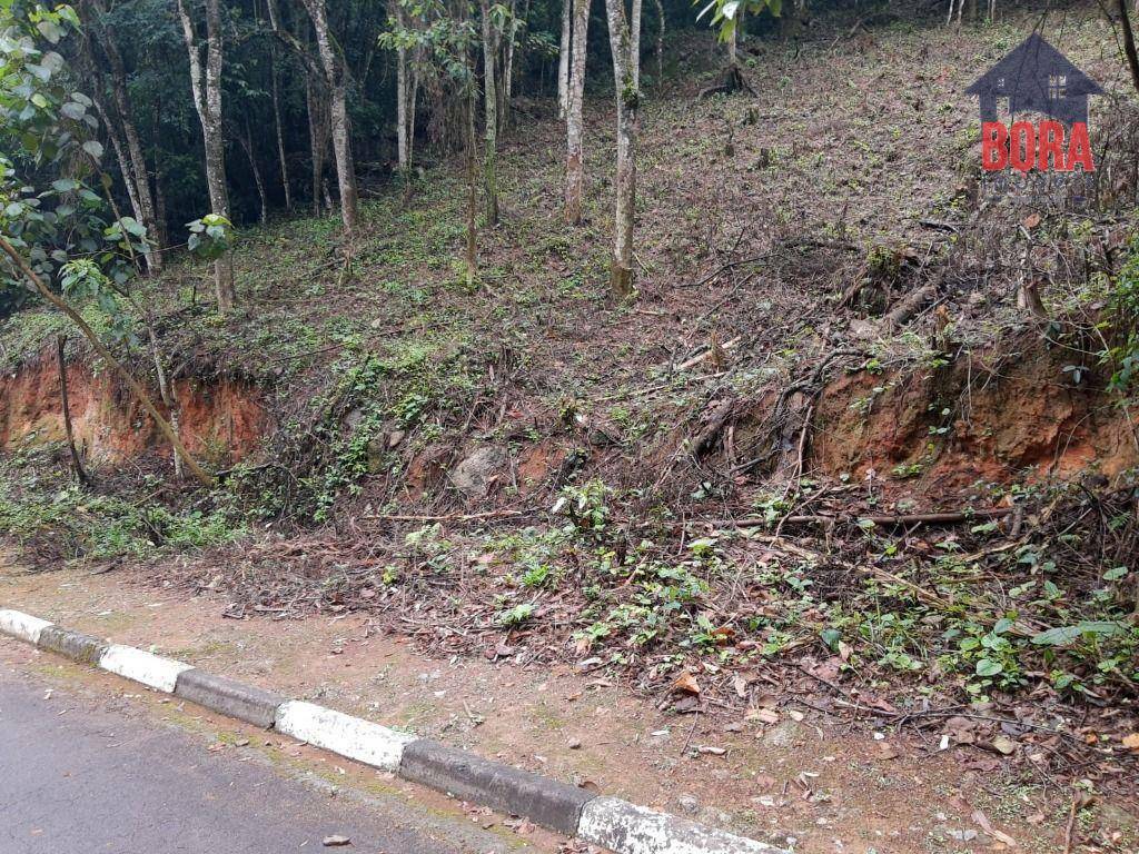 Loteamento e Condomínio à venda, 1250M2 - Foto 1