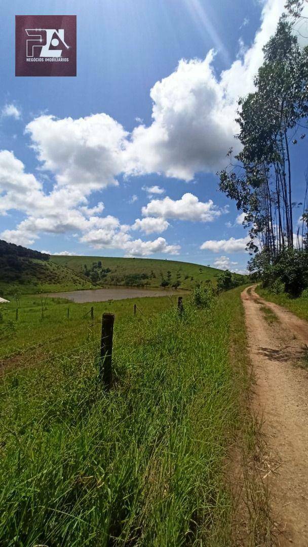 Fazenda à venda com 4 quartos, 1452000M2 - Foto 20