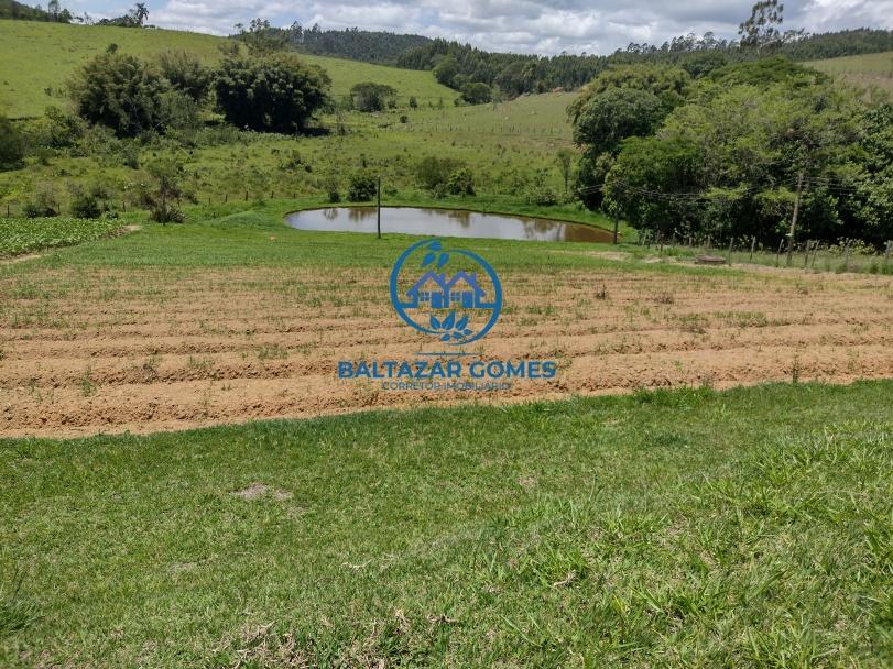 Fazenda à venda com 2 quartos, 5000m² - Foto 13