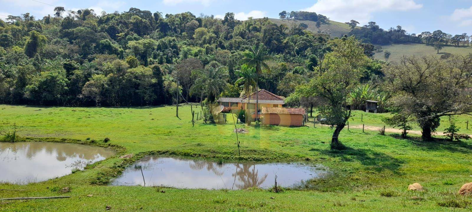 Chácara à venda com 3 quartos, 4000M2 - Foto 6