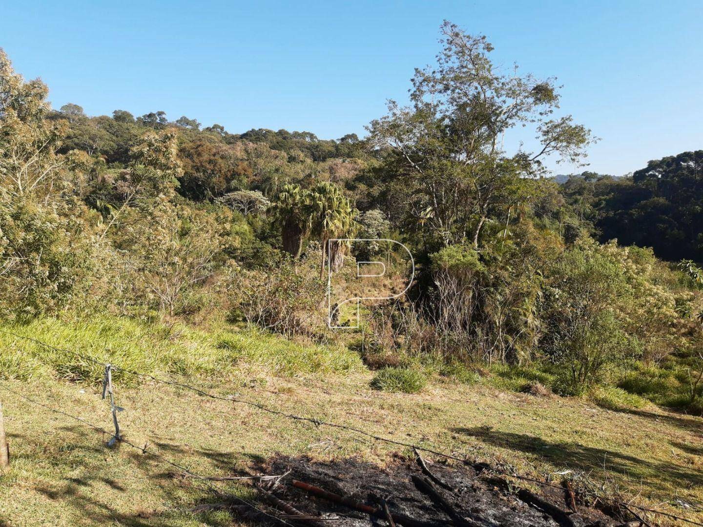 Chácara à venda com 4 quartos, 200m² - Foto 6