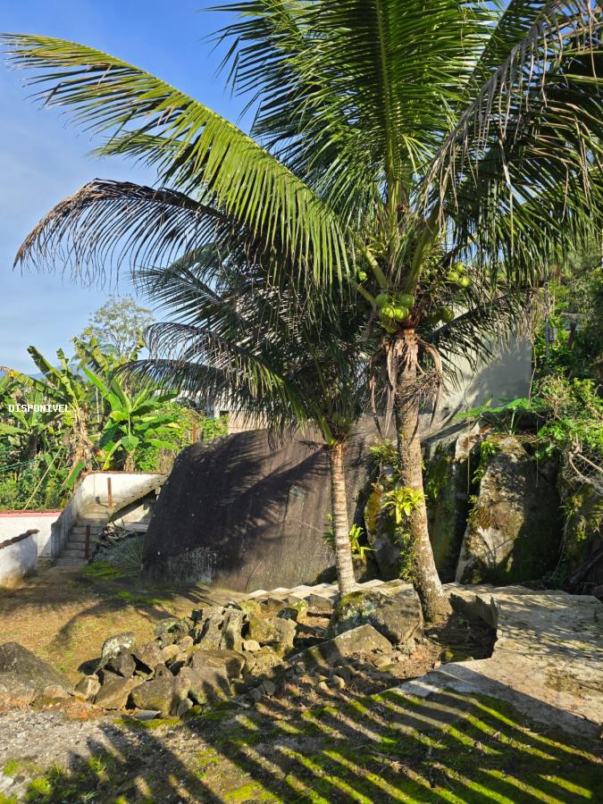 Chácara à venda com 2 quartos - Foto 8