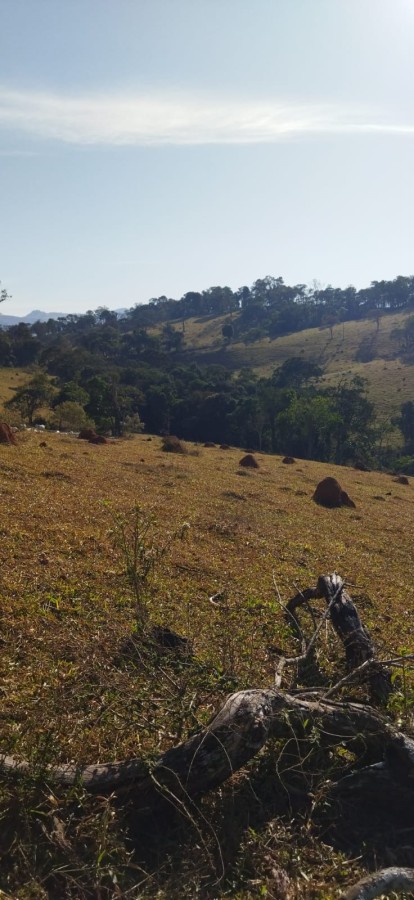 Fazenda-Sítio-Chácara, 75 m² - Foto 4